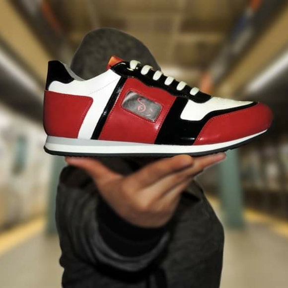 Meet your Posher, Daisy - Picture 14 of 16